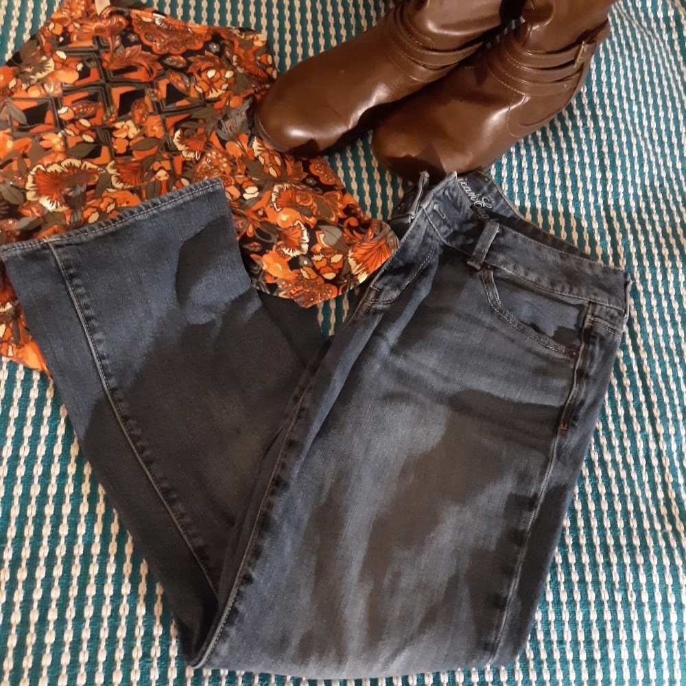 BOGO AE Cropped Jeans